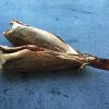 Arbroath Smokies