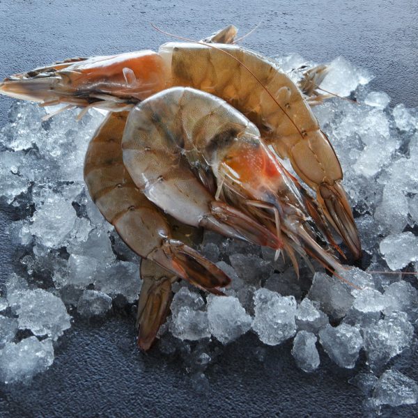 Raw Crevettes